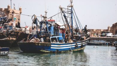 الصيد الحسيمة